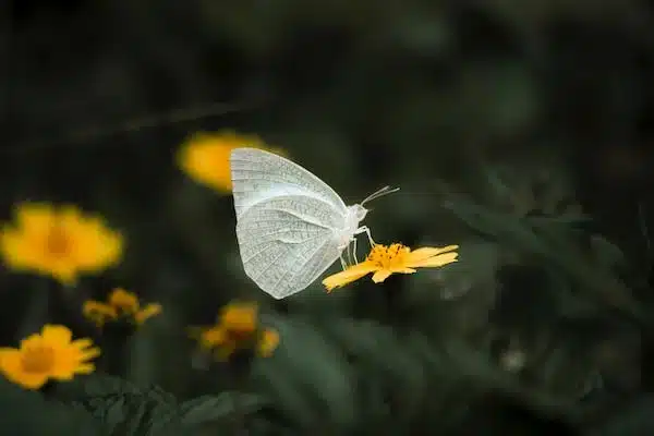 파워볼실시간